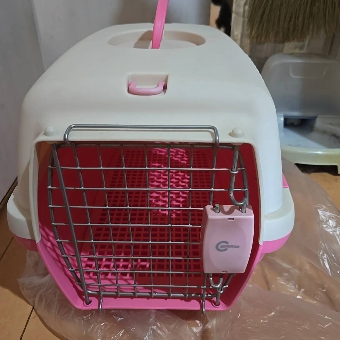 キャリー ピンクの写真2枚目