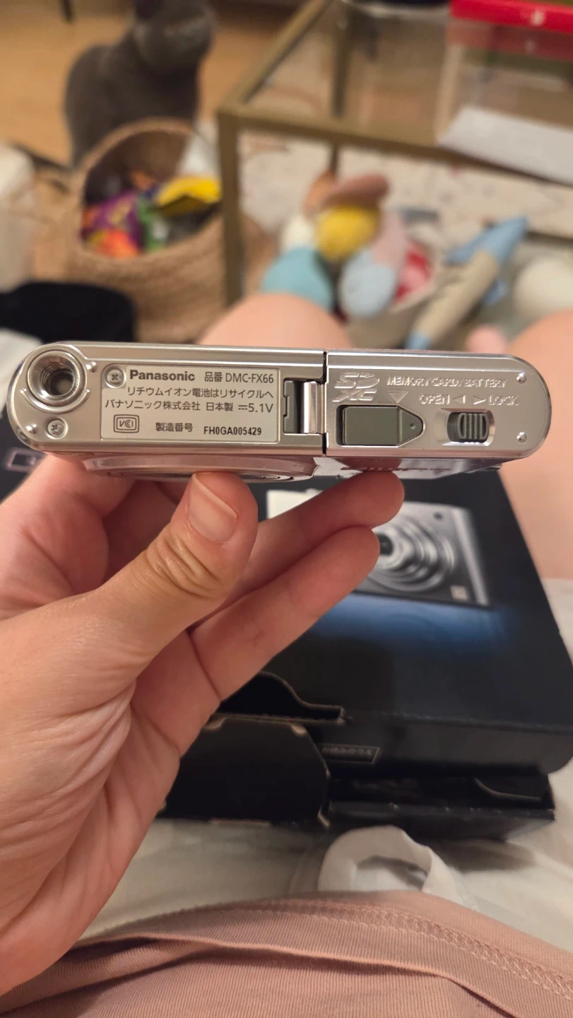 パナソニック ルミックス DMC-FX66 ピンクの写真8枚目