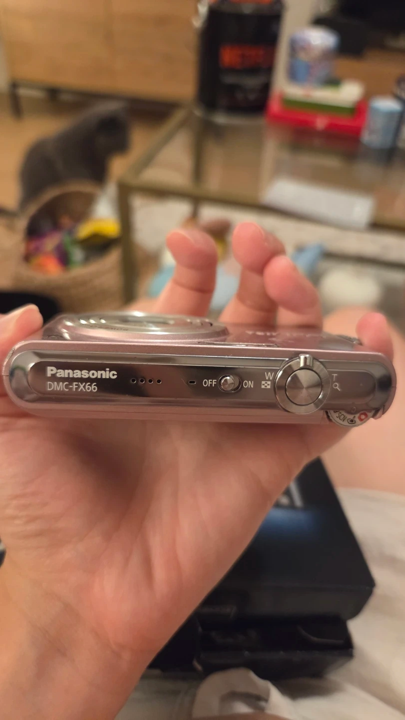 パナソニック ルミックス DMC-FX66 ピンクの写真7枚目