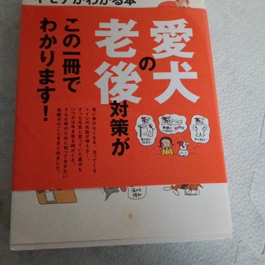 雑誌の写真2枚目
