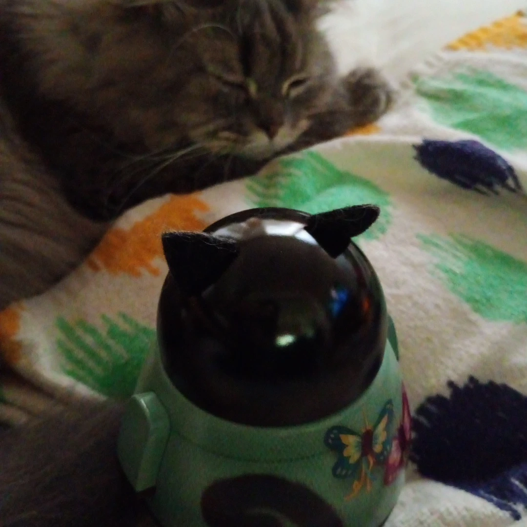黒猫型 缶 の写真4枚目