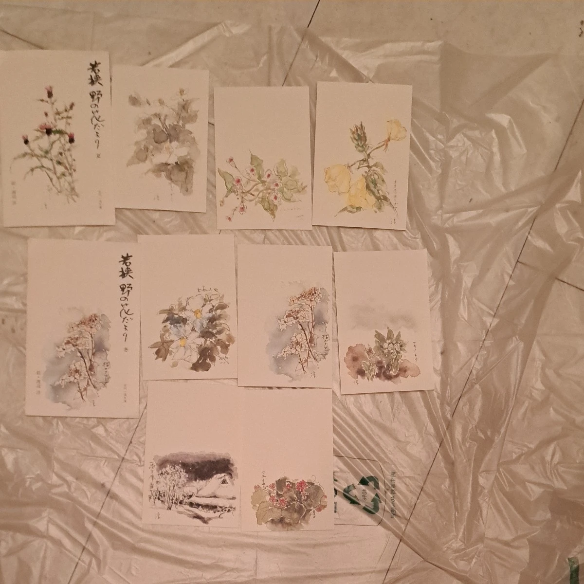 和紙工房はがき作品渡辺篤史