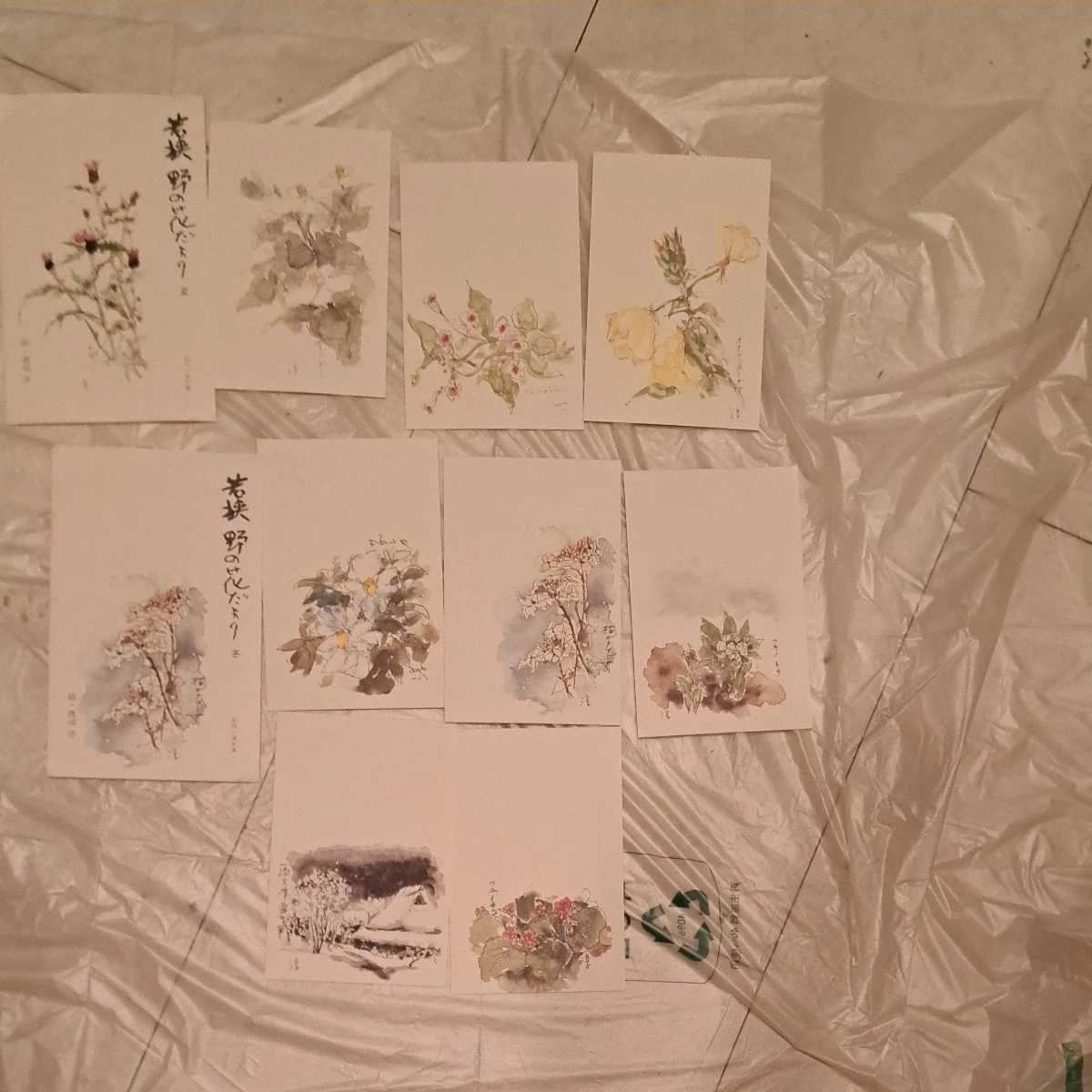 和紙工房はがき作品渡辺篤史