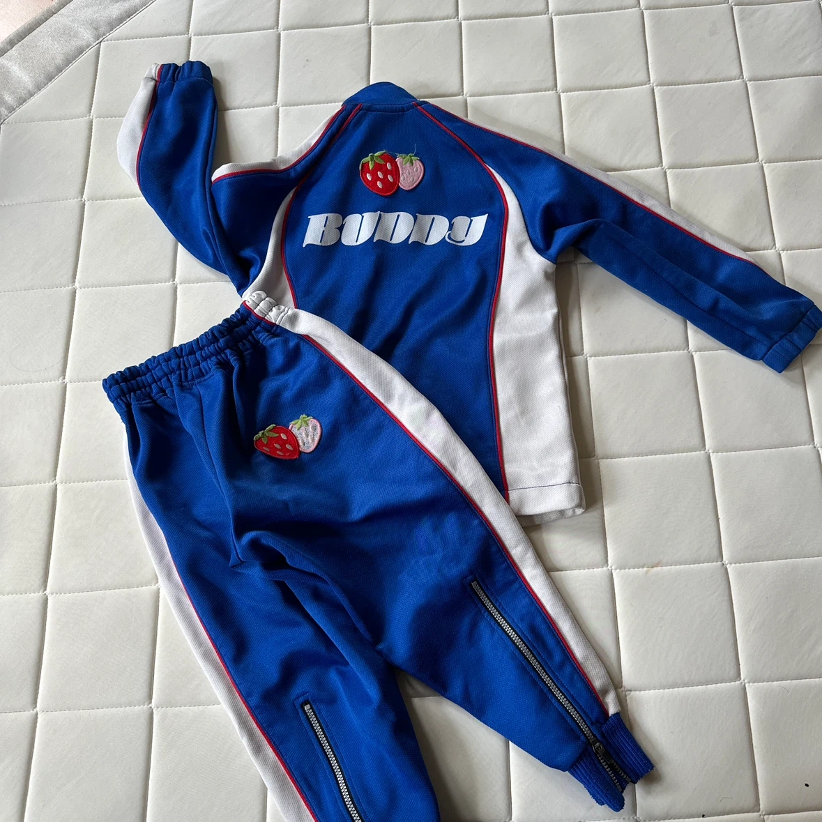 バディスポーツ用幼児園ミズノ ジャージ上下 セットアップ 苺刺繍の写真2枚目
