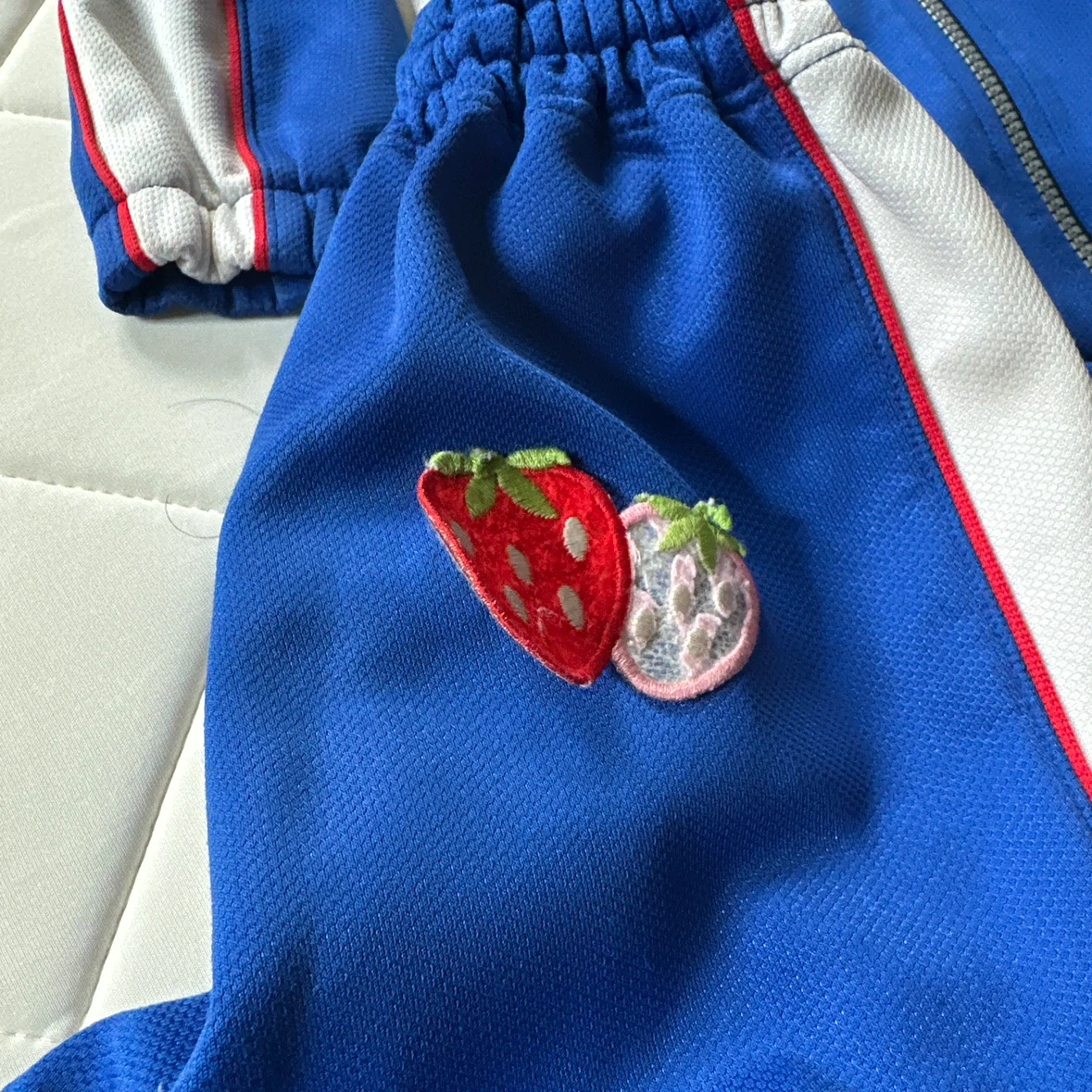 バディスポーツ用幼児園ミズノ ジャージ上下 セットアップ 苺刺繍の写真4枚目