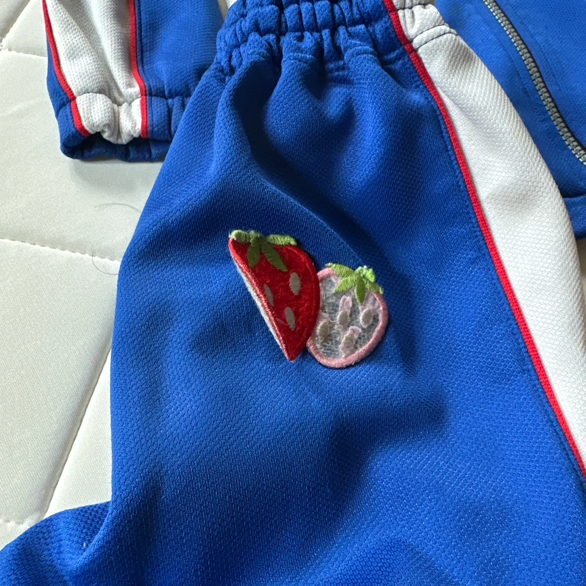 バディスポーツ用幼児園ミズノ ジャージ上下 セットアップ 苺刺繍の写真5枚目