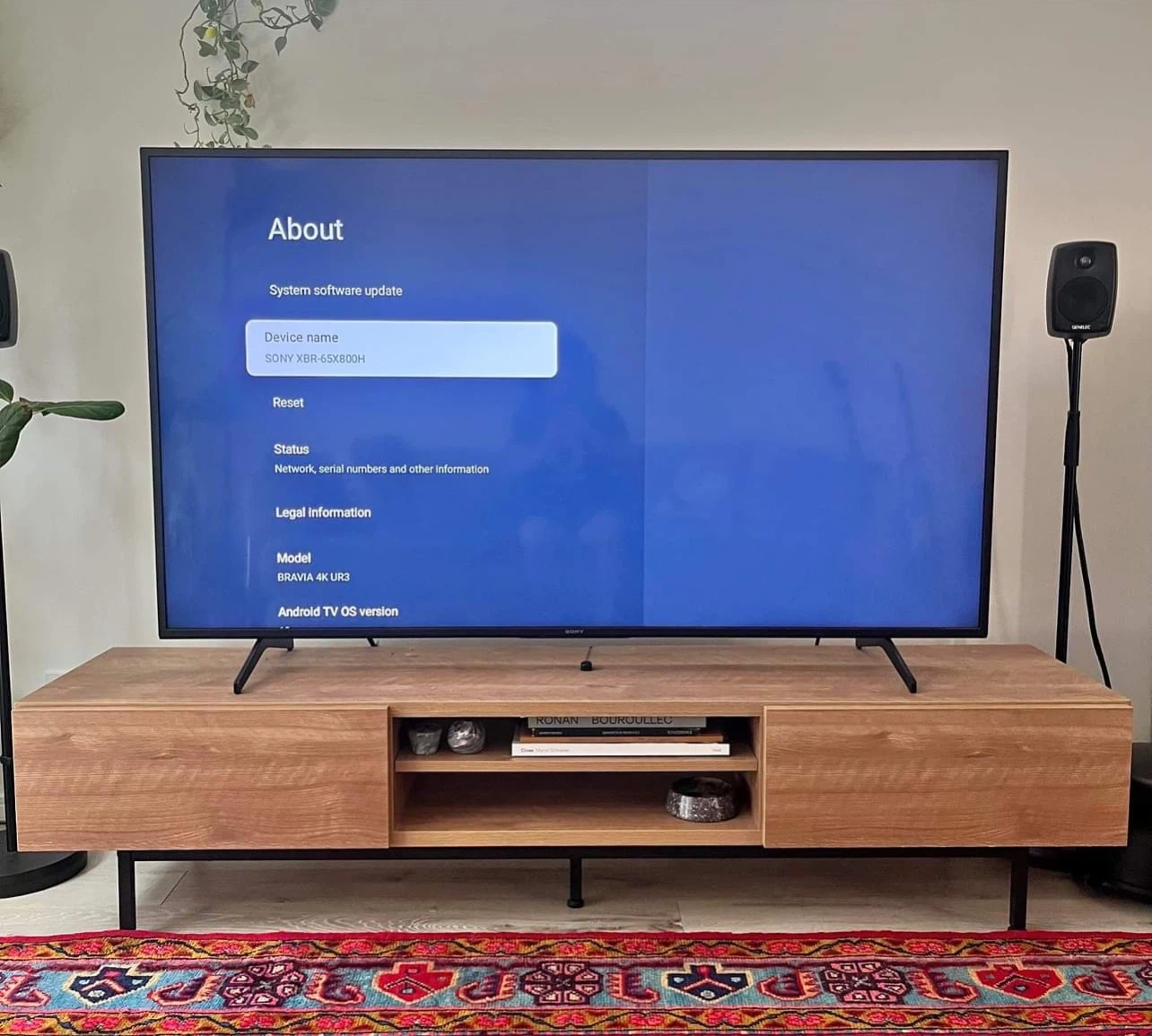 (English Versions )ソニー 65インチ 4K液晶テレビ XBR-65X800H