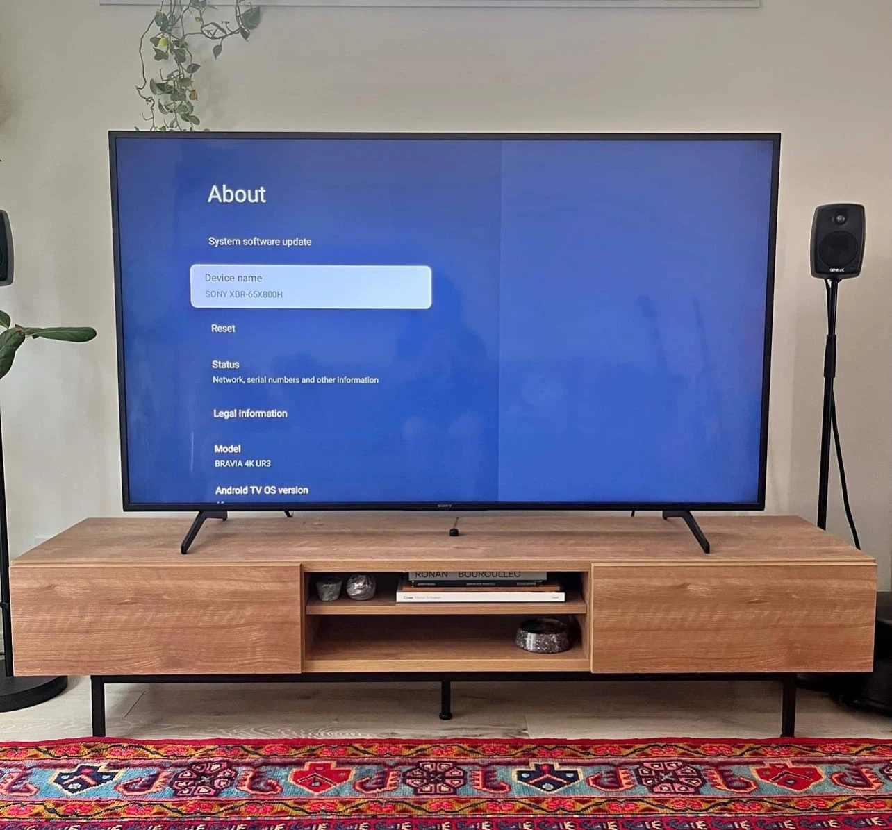 (English Versions )ソニー 65インチ 4K液晶テレビ XBR-65X800Hの写真2枚目
