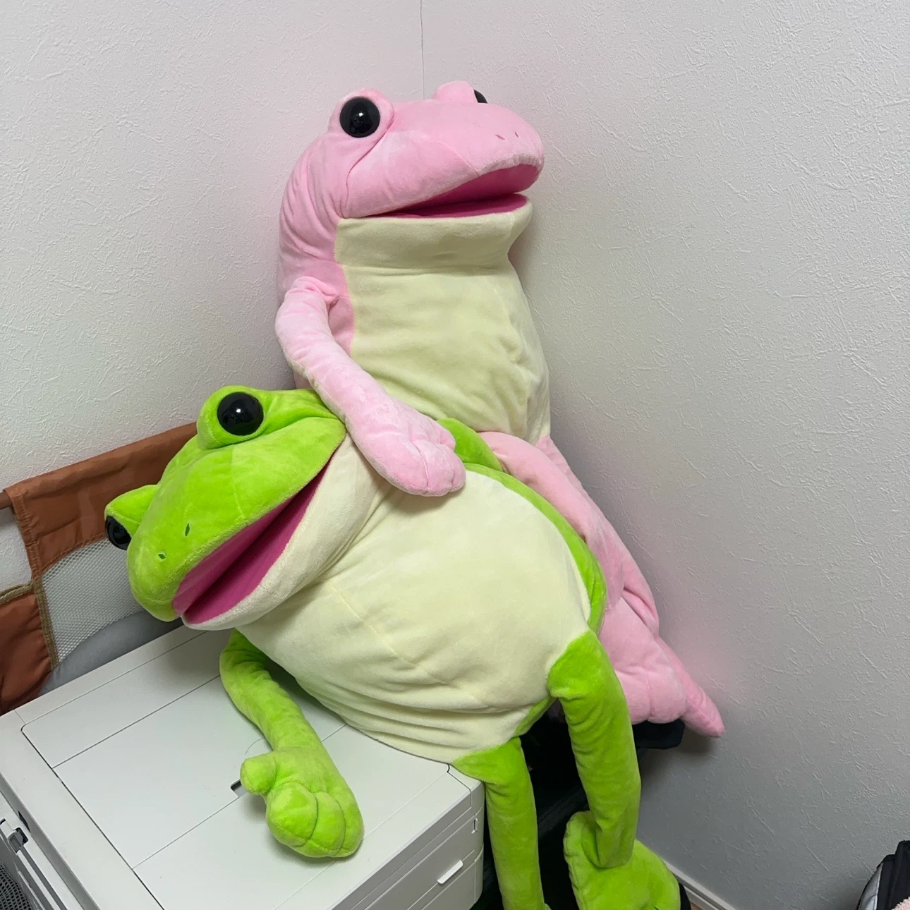 ピクルス ザ フログ ぬいぐるみ 2体セットの写真2枚目