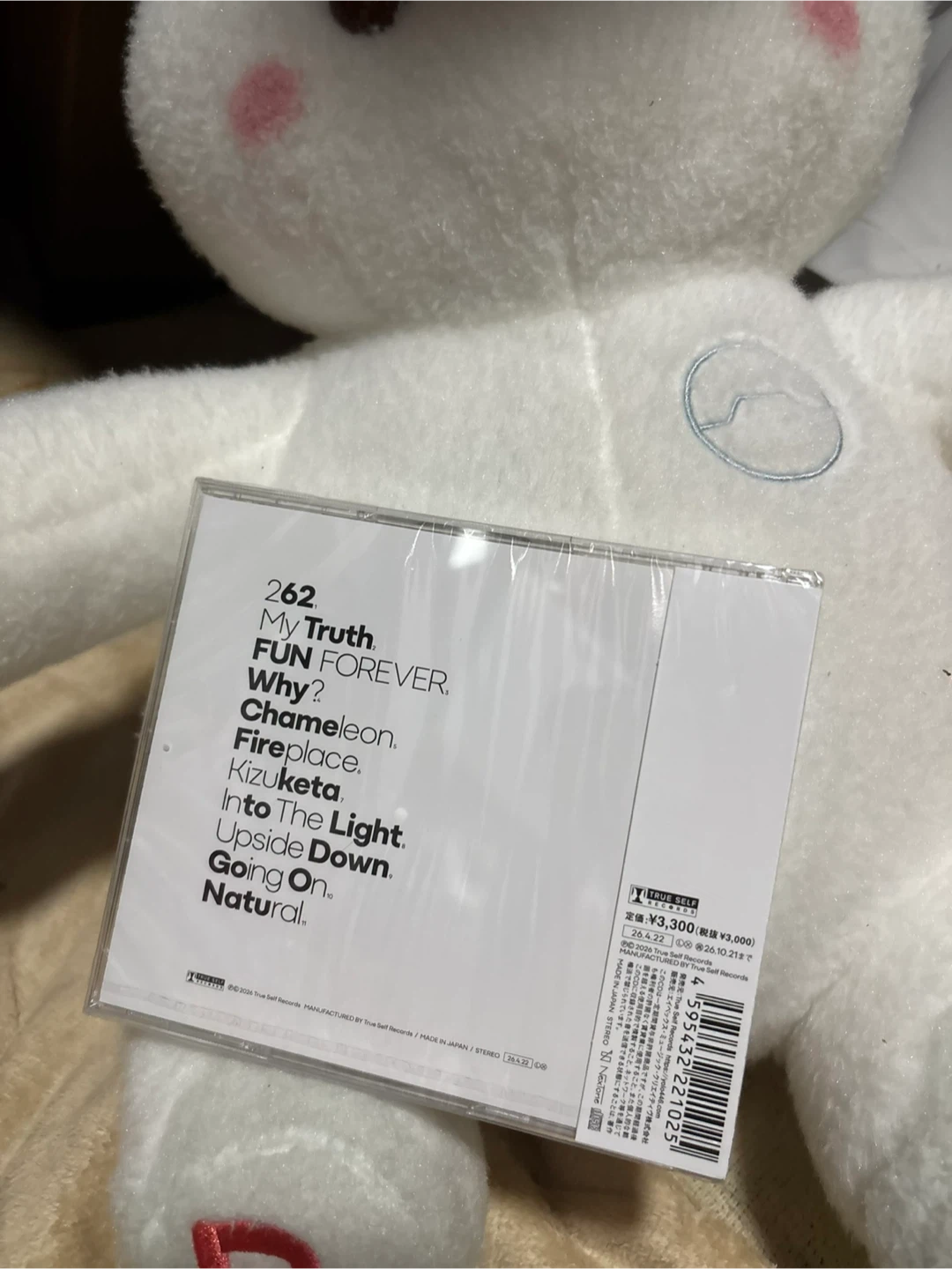 與真司郎 THIS IS HOW I AM CDの写真2枚目