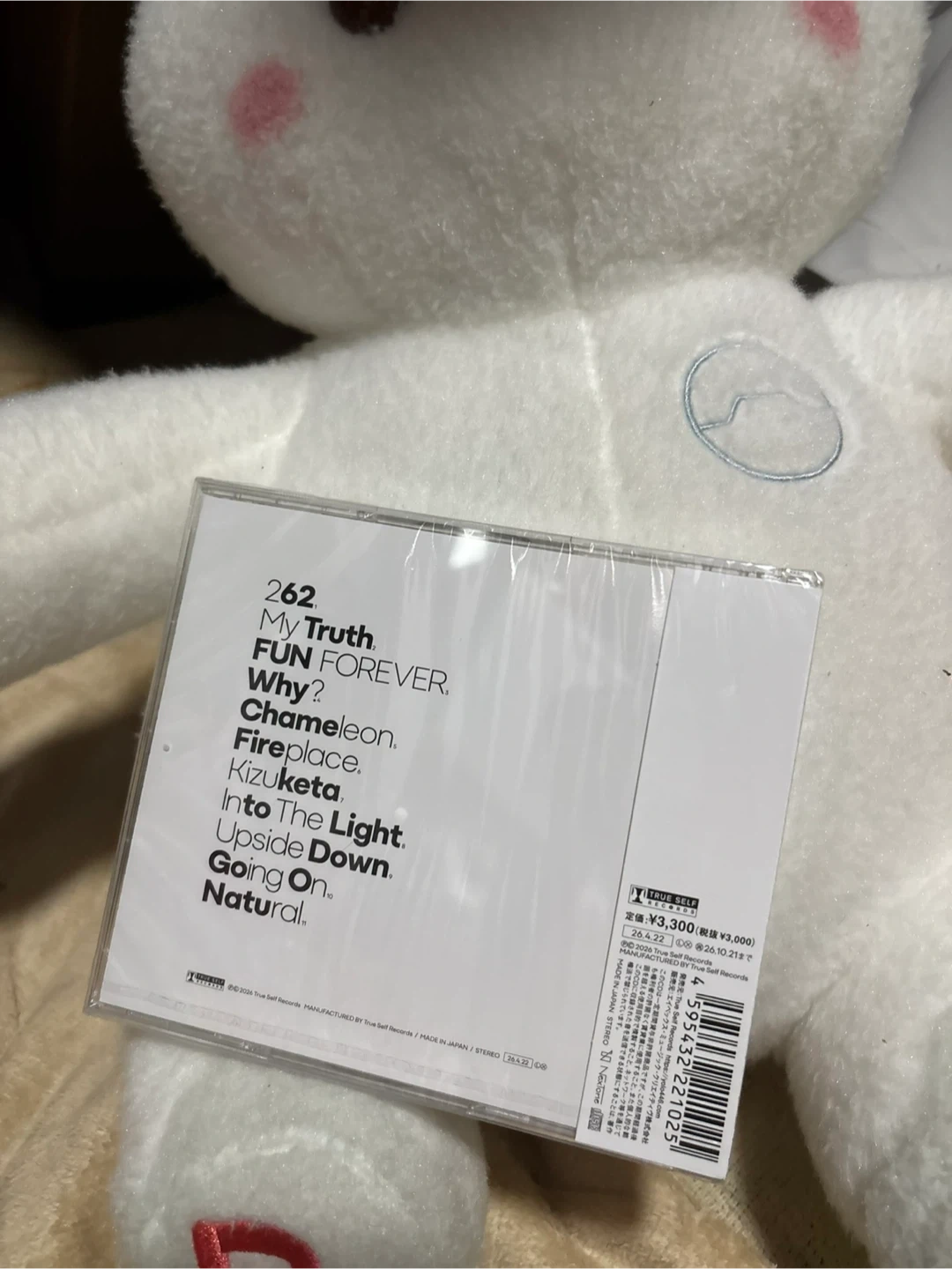 與真司郎 THIS IS HOW I AM CDの写真2枚目