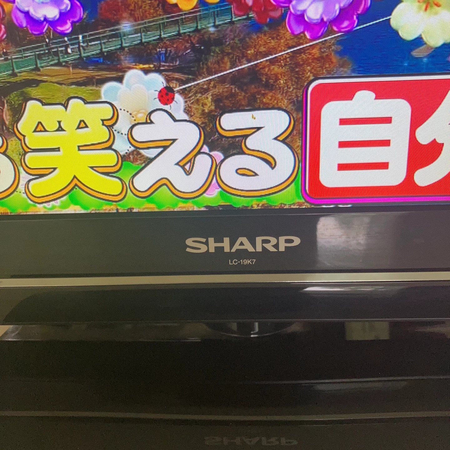 シャープ 液晶テレビ アクオス LC-19K7の写真3枚目