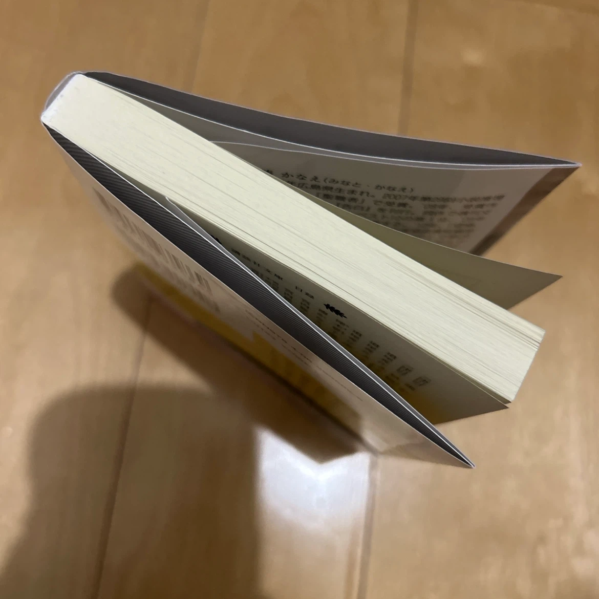 リバース 湊かなえ 講談社文庫の写真3枚目