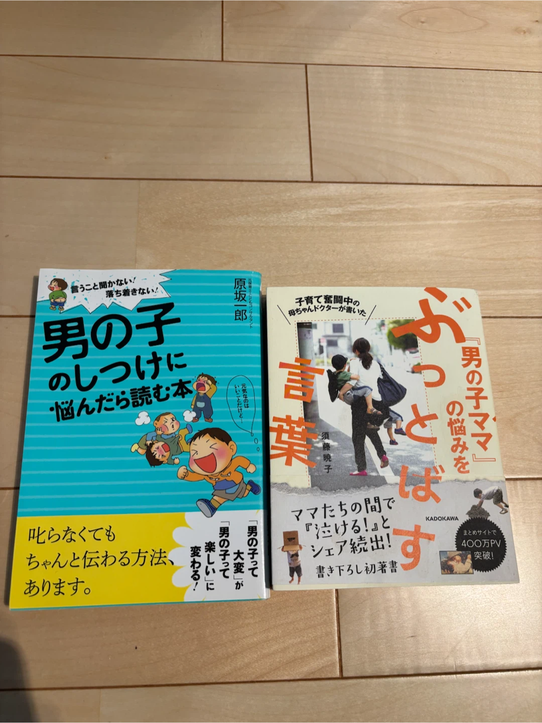 男の子のしつけ・育児本 2冊セット