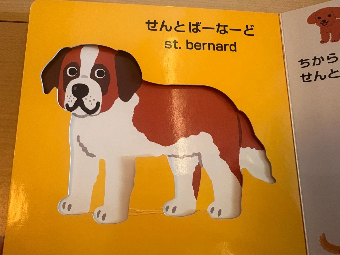 いしかわこうじ かたぬきえほん 3冊セットの写真2枚目
