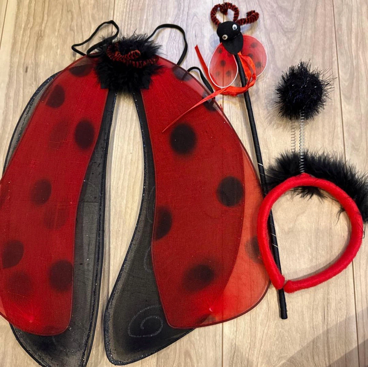 キッズ　ハロウィン　仮装　てんとう虫