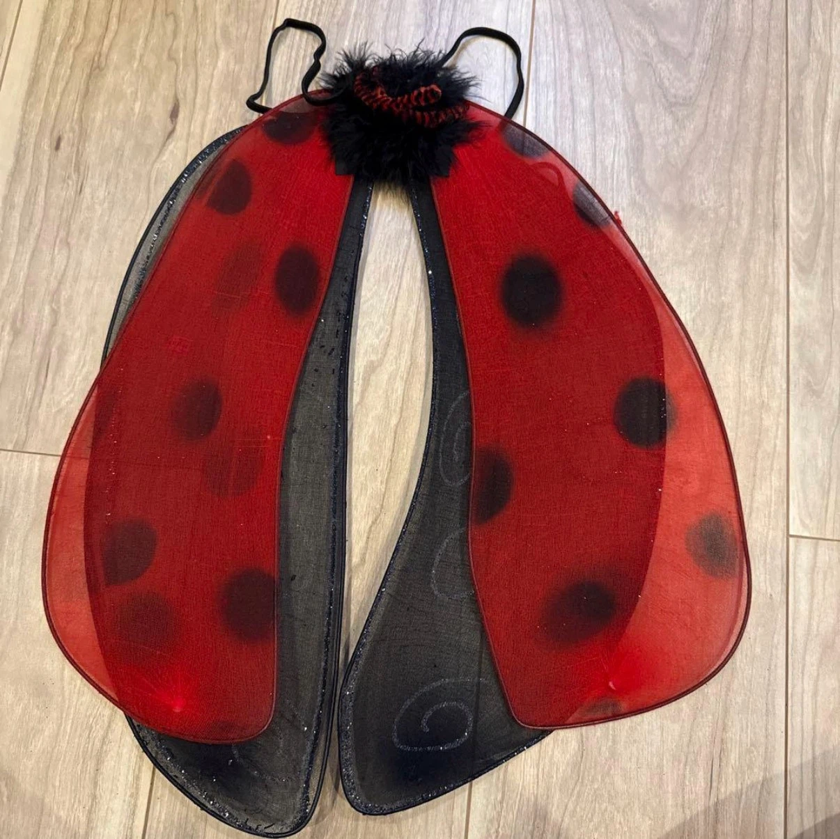 キッズ ハロウィン 仮装 てんとう虫の写真2枚目