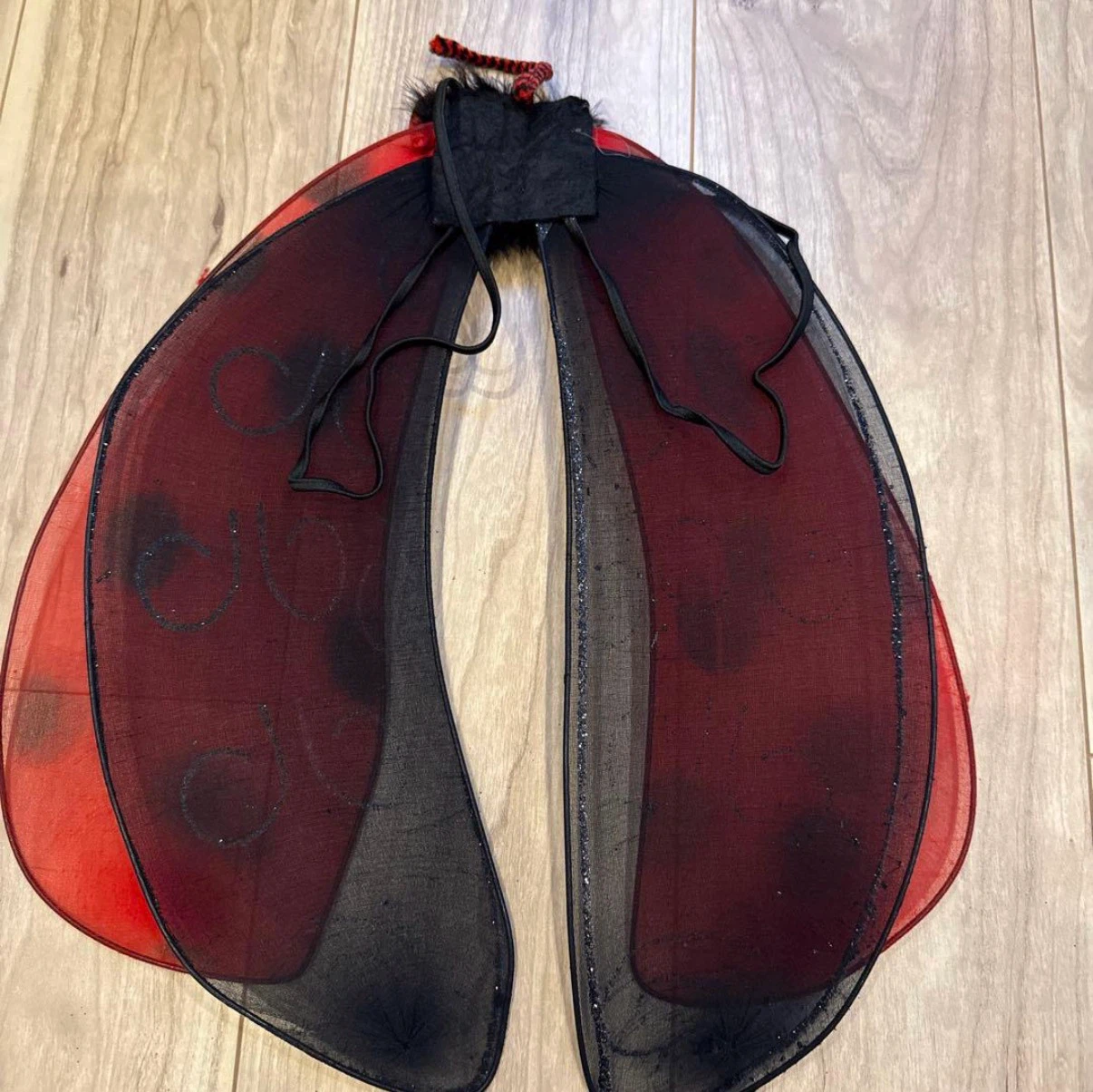 キッズ　ハロウィン　仮装　てんとう虫の写真5枚目