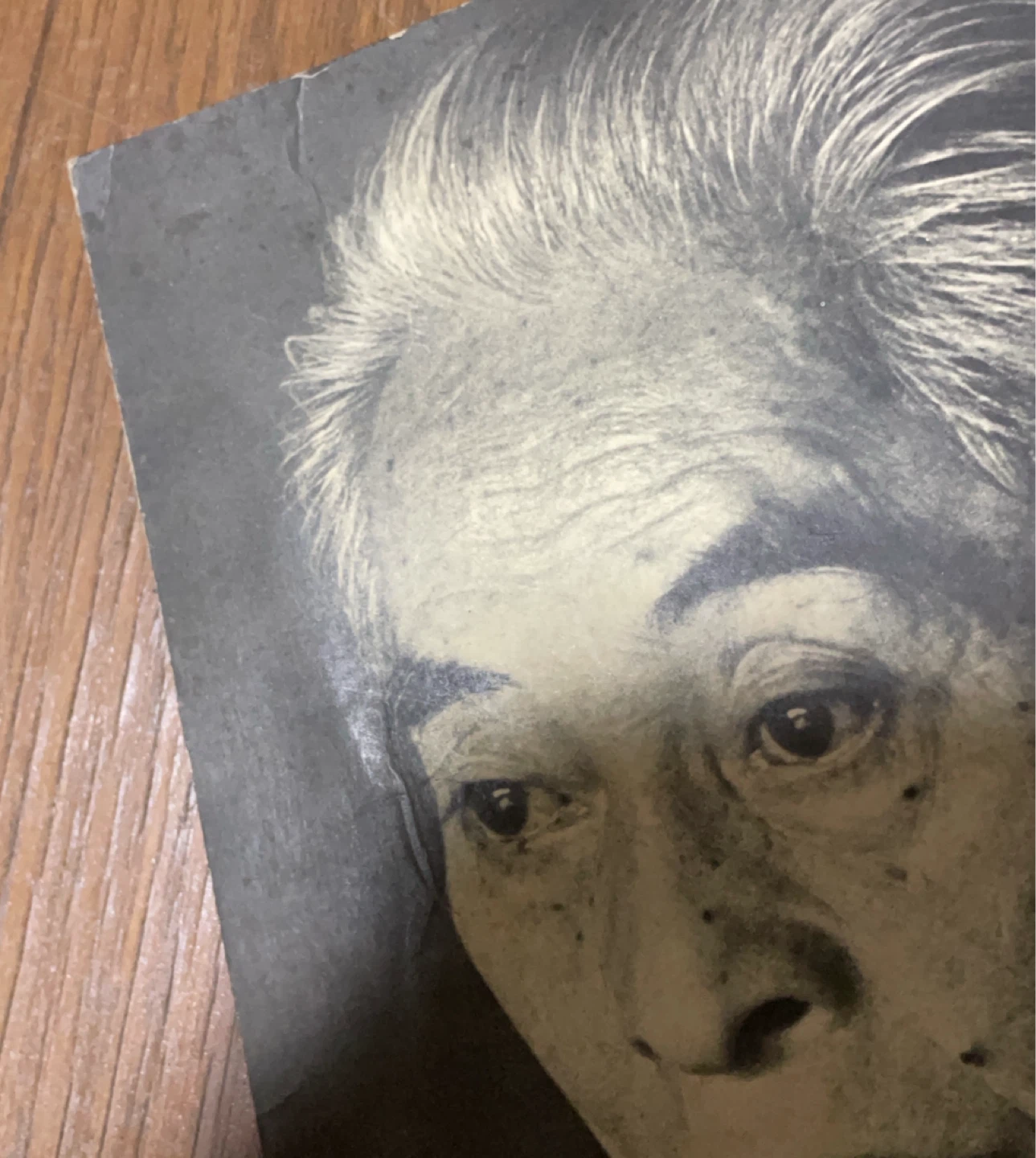 川端康成展 その芸術と生涯 図録の写真3枚目