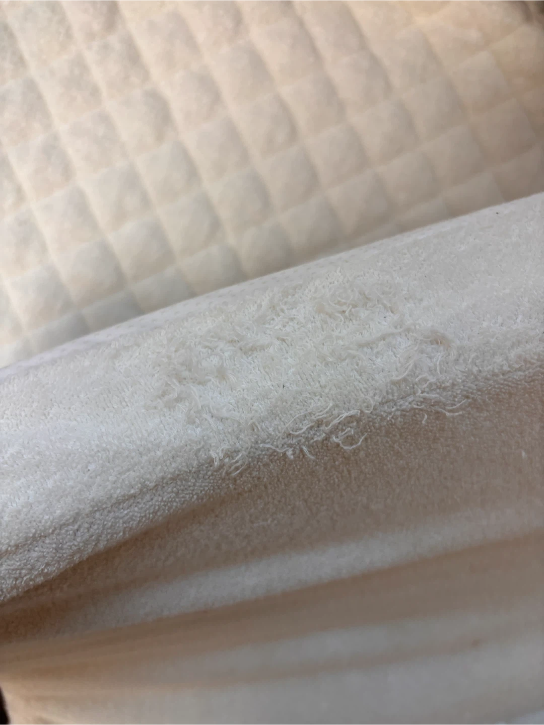 ファルスカ コンパクトベッド Freeの写真6枚目