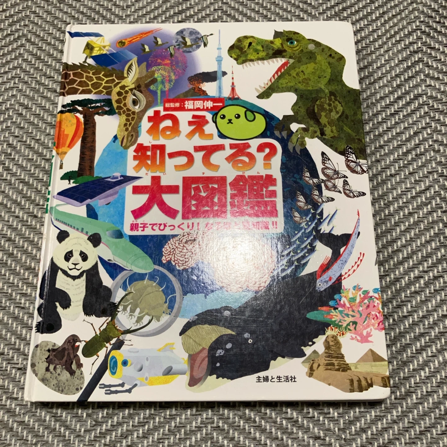 ねえ知ってる?大図鑑 主婦と生活社