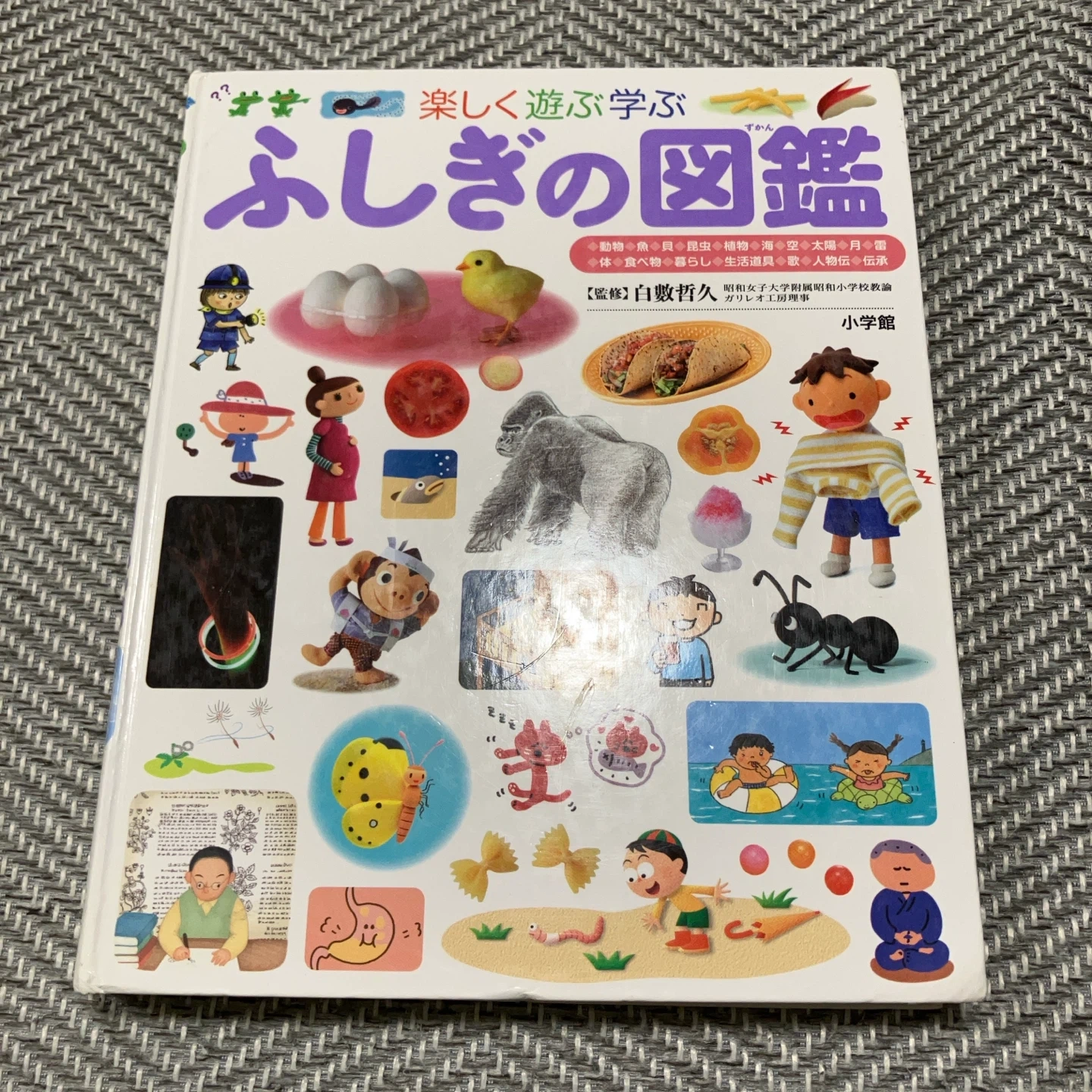 楽しく遊ぶ学ぶ ふしぎの図鑑 小学館