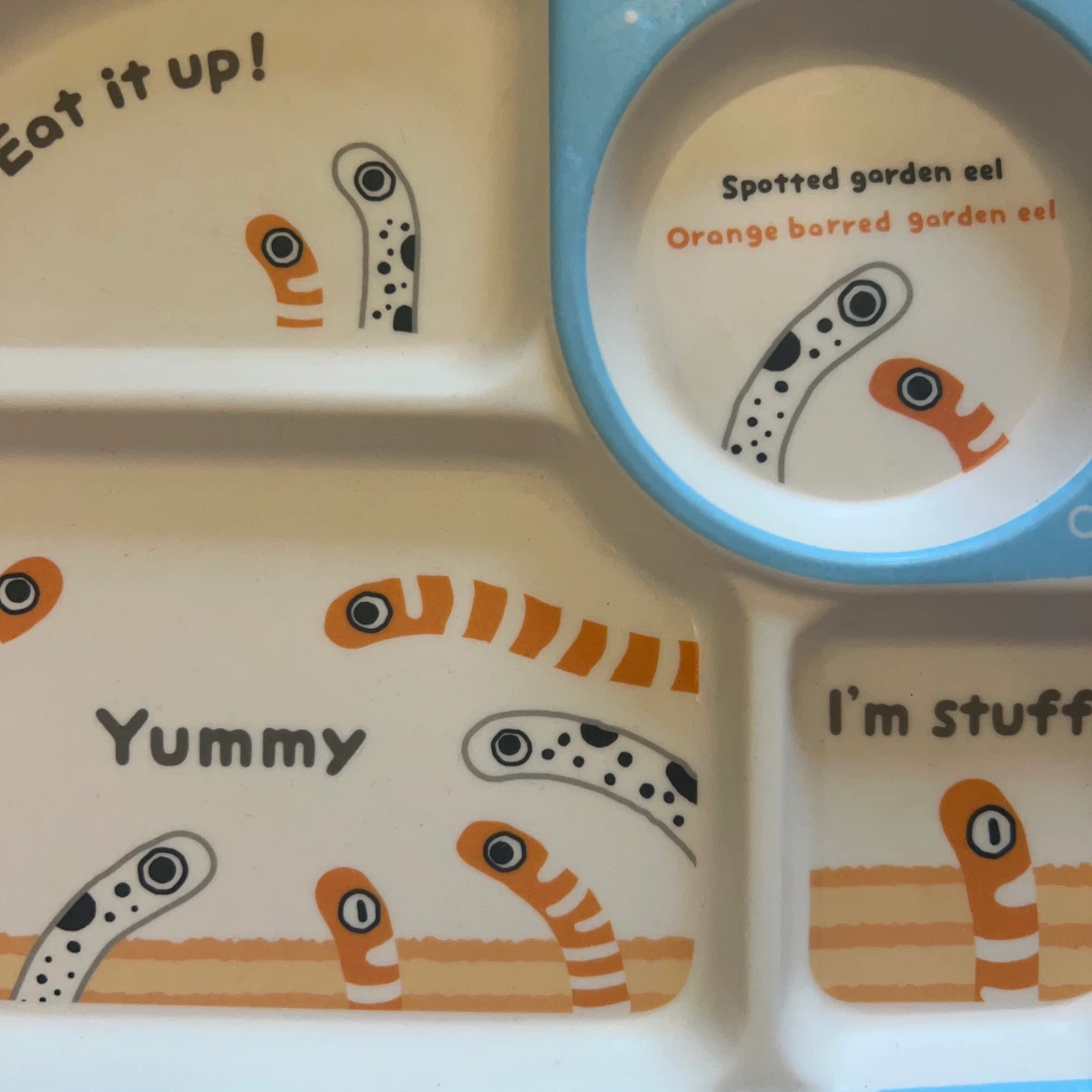 チンアナゴ プレート 仕切り皿 キッズ食器の写真2枚目