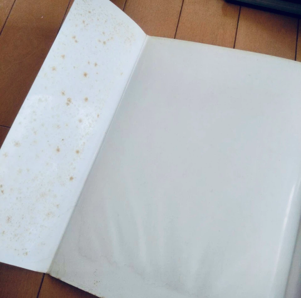 ロイスチュアート＊RoyStuart＊芸術アート( Ⅰ〜Ⅲ )厚本3冊セットの写真6枚目