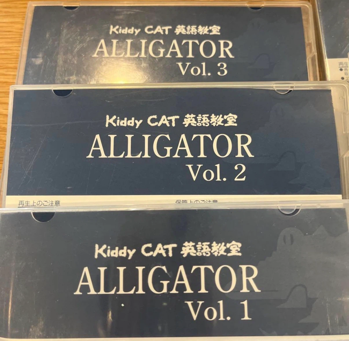 アルク kiddy CAT DVD 16枚の写真4枚目