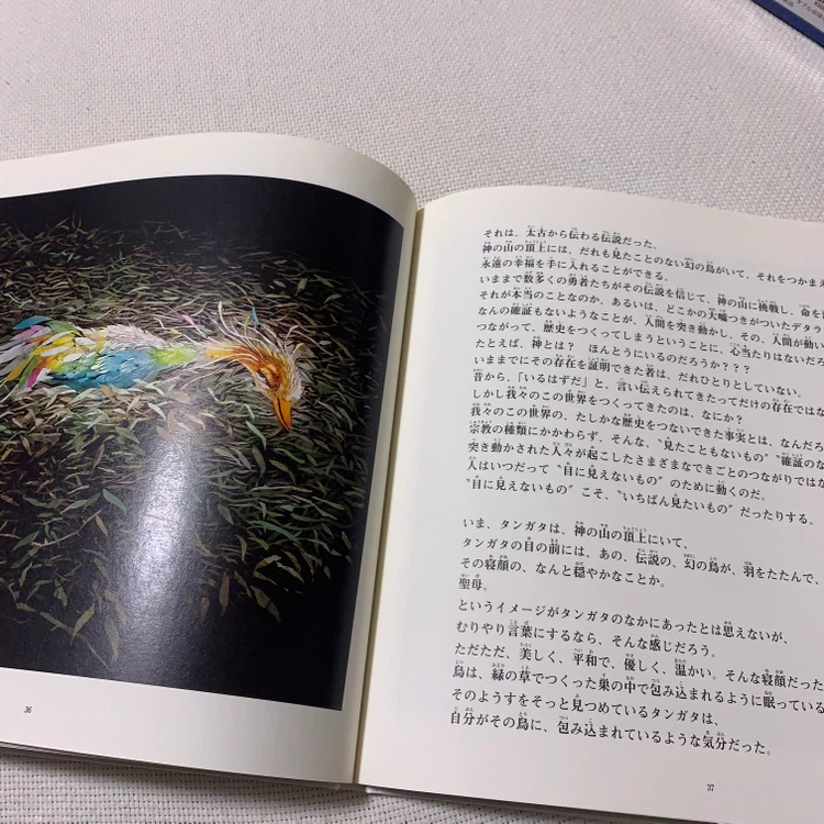 絵本 マボロシの鳥 藤城清治 太田光の写真6枚目