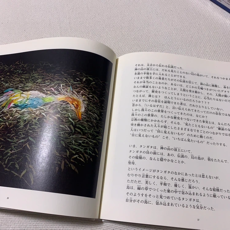 絵本 マボロシの鳥 藤城清治 太田光の写真6枚目