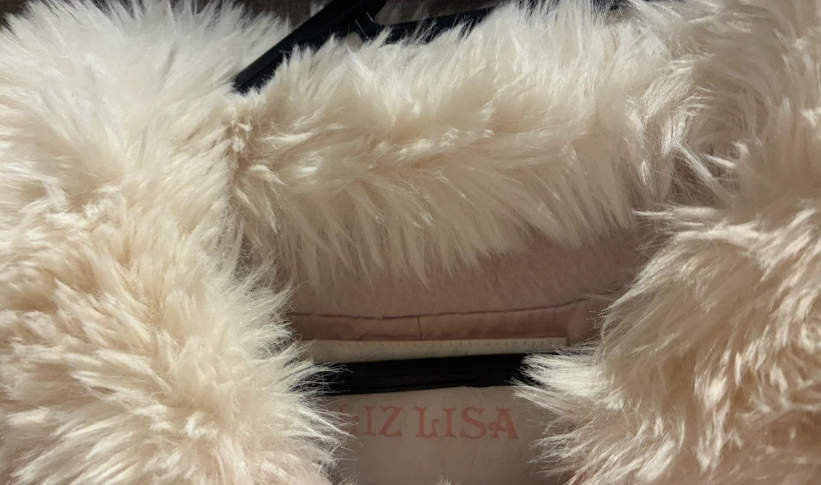 LIZ LISA lizlisa リズリサ　シャギーツインリボンポンチョ 量産型の写真2枚目