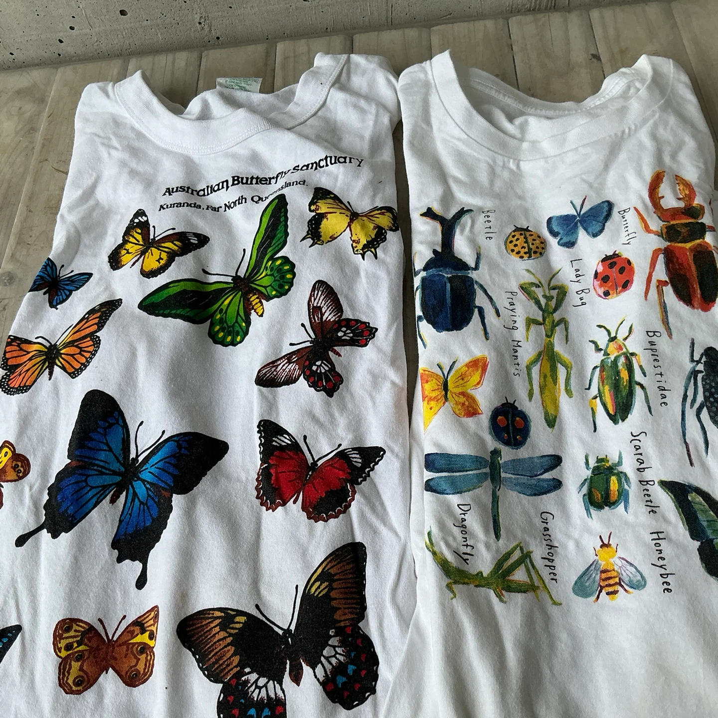 昆虫柄Ｔシャツ２枚