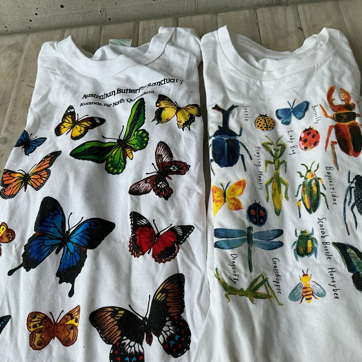 昆虫柄Tシャツ2枚