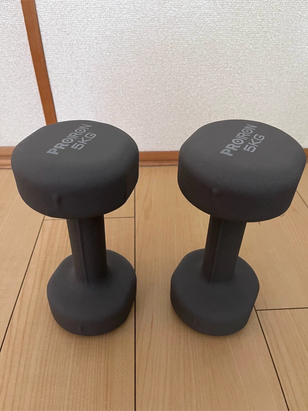 プロアイアン ダンベル 5kg 2個セット