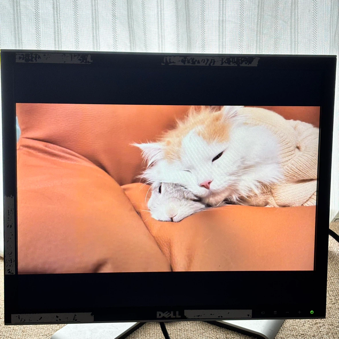 DELL製 19インチモニターディスプレー スピーカー内蔵