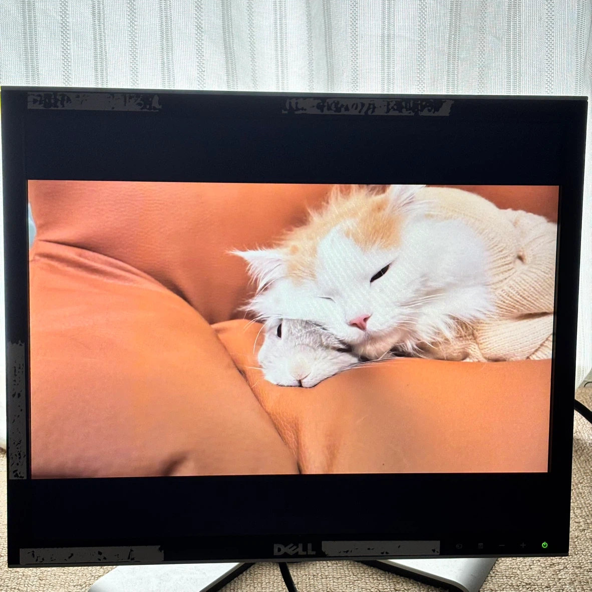 DELL製 19インチモニターディスプレー スピーカー内蔵