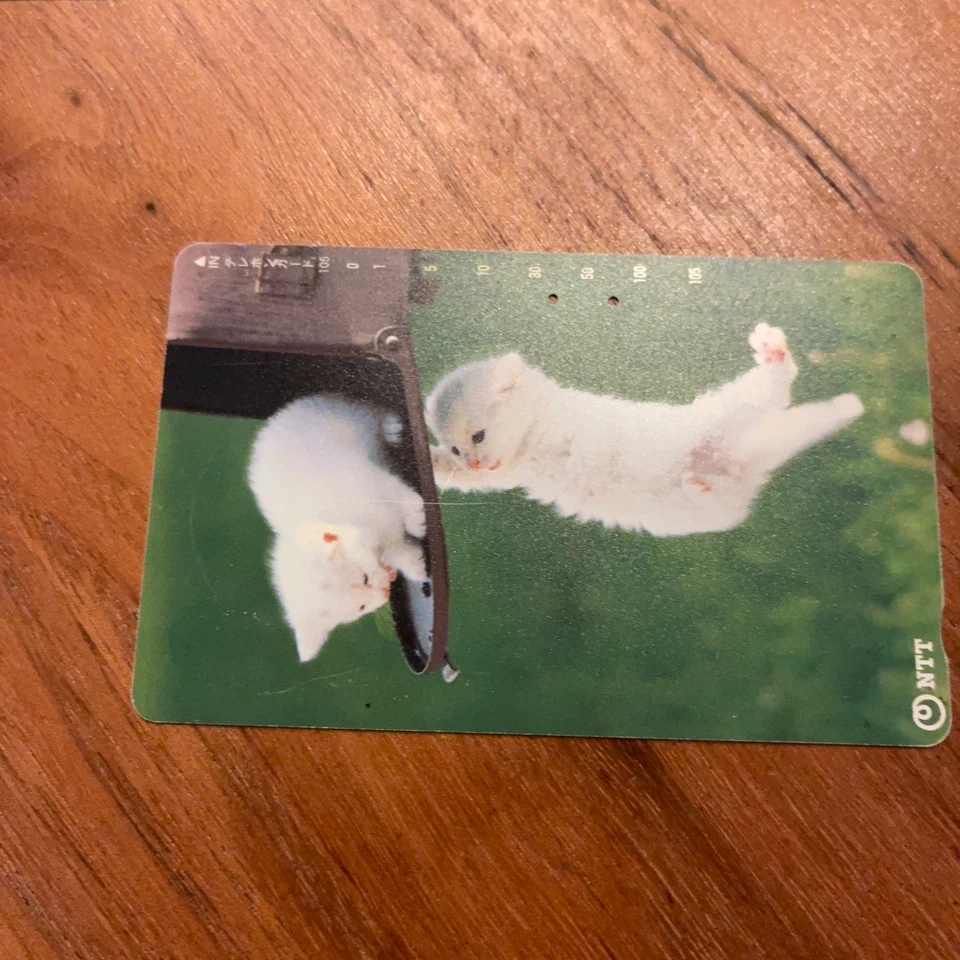 テレフォンカード(残度数あり)の写真4枚目