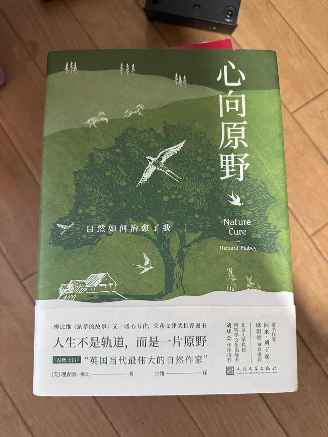 心向原野 リチャード・メイビー
