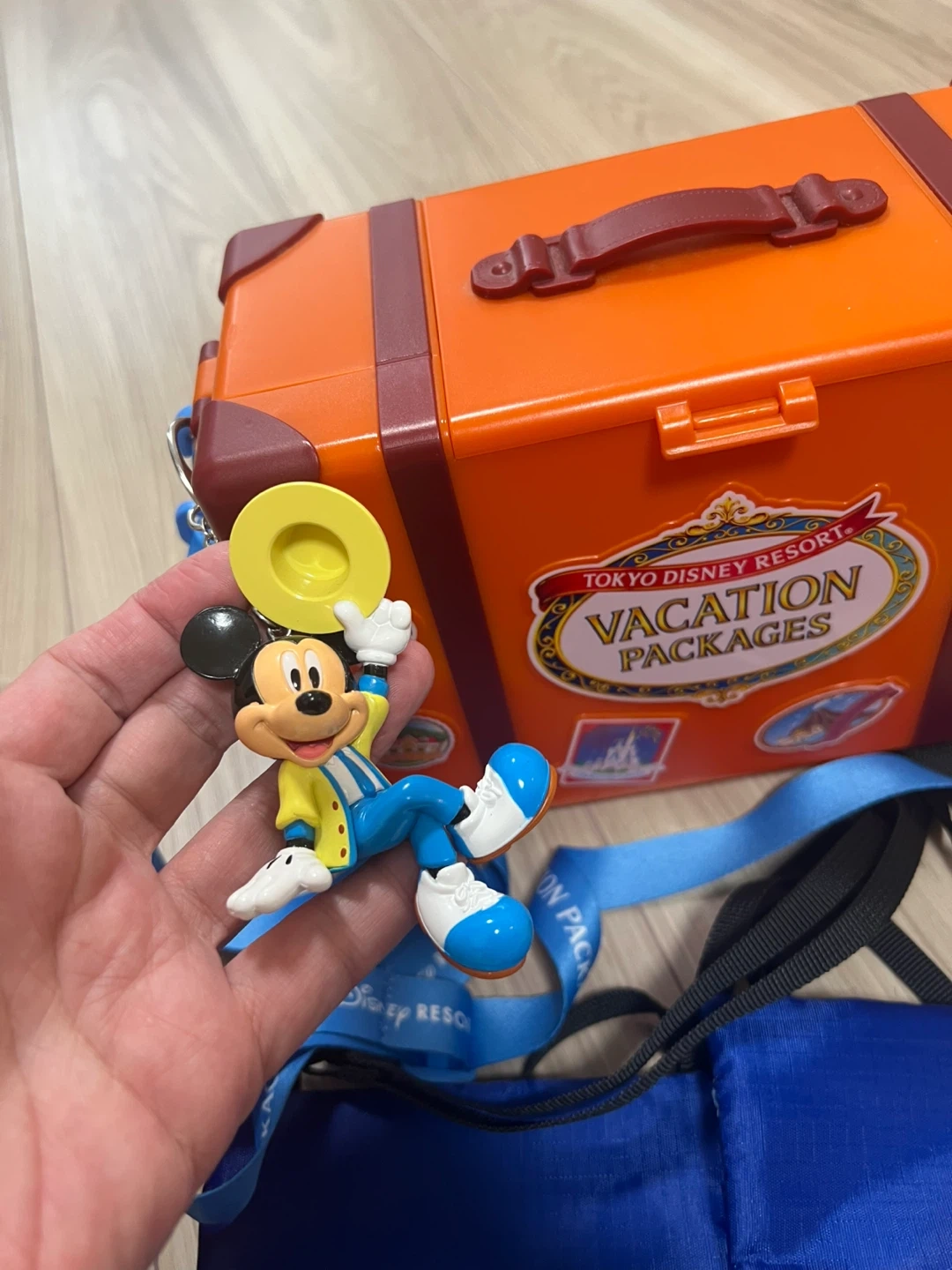 東京ディズニーリゾート バケーションパッケージ グッズセットの写真5枚目