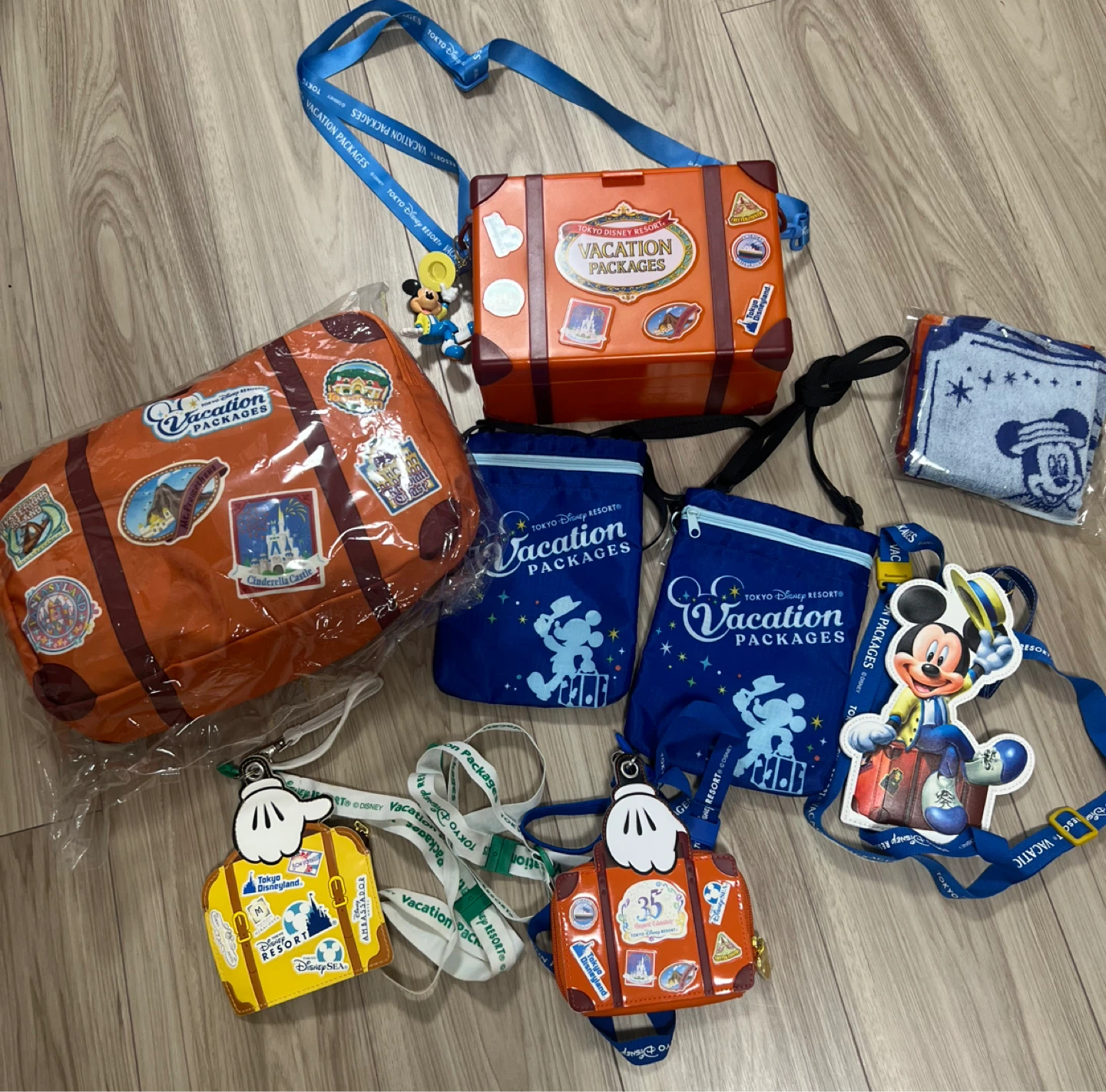 東京ディズニーリゾート バケーションパッケージ グッズセット