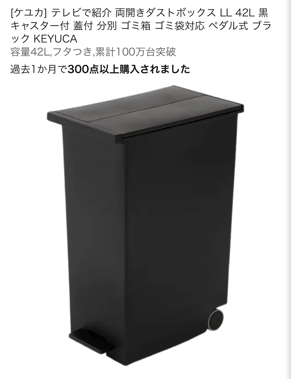 ほぼ新品ケユカ 両開きダストボックス LL 42L ブラックの写真4枚目
