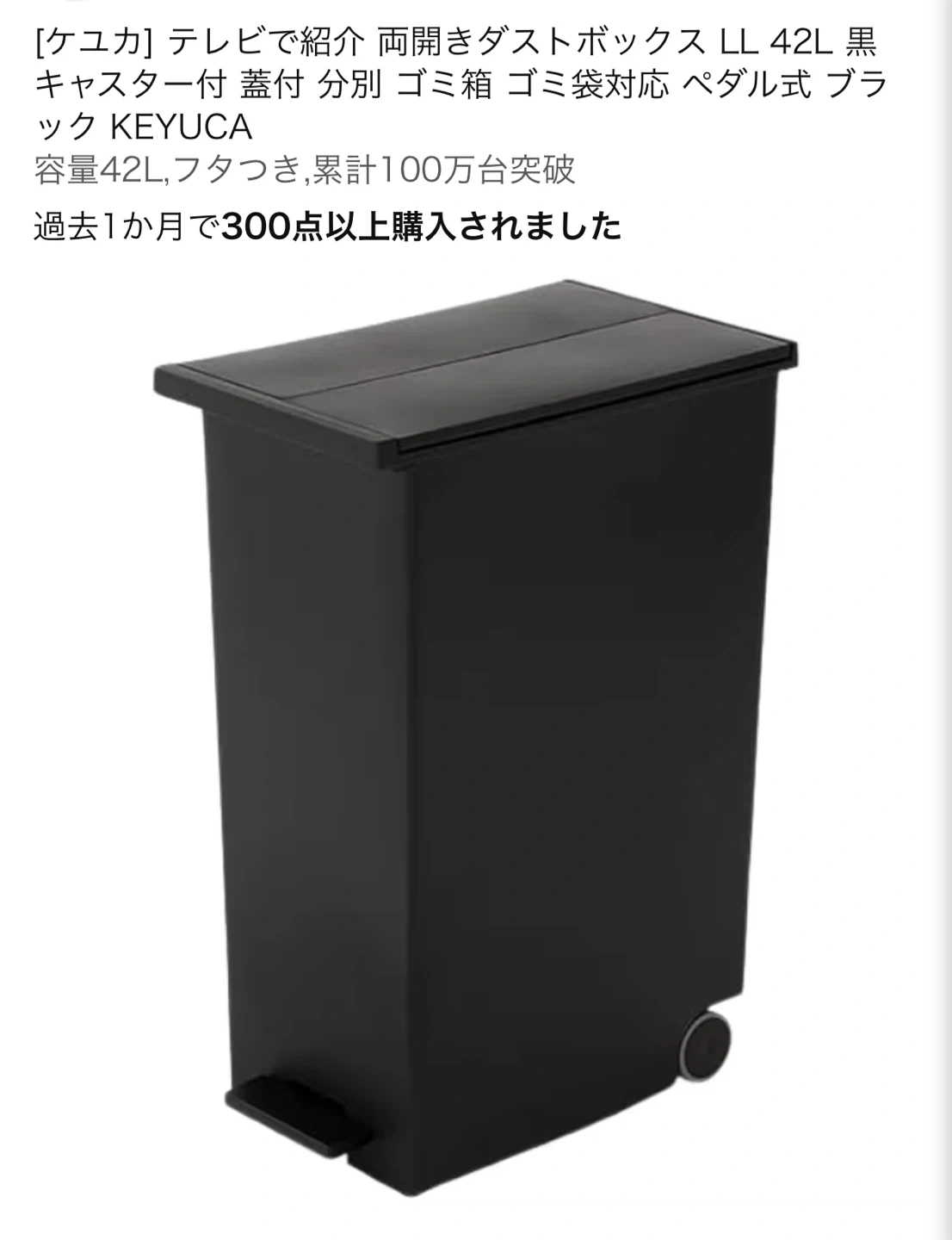 ほぼ新品ケユカ 両開きダストボックス LL 42L ブラックの写真4枚目