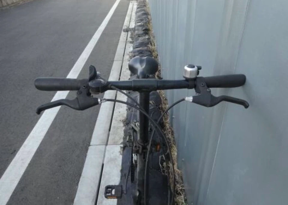 ダホン 折りたたみ自転車 カーキの写真2枚目