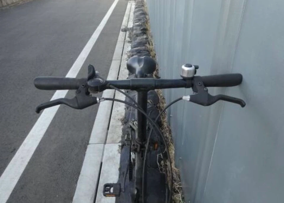 ダホン 折りたたみ自転車 カーキの写真2枚目