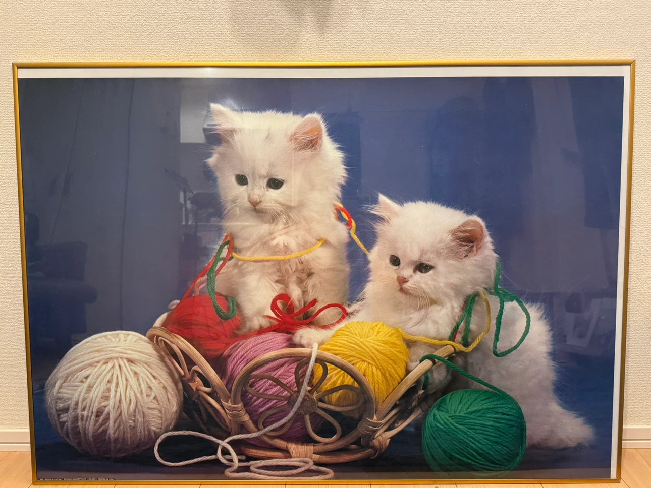 イタリア製 子猫のアートポスター ゴールドフレーム