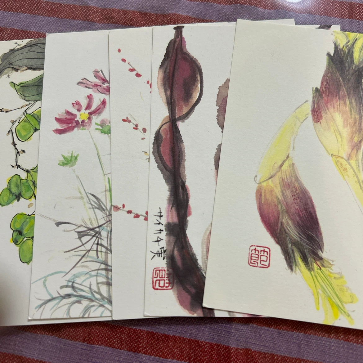 手書き風 水彩画 ポストカード 5枚セット