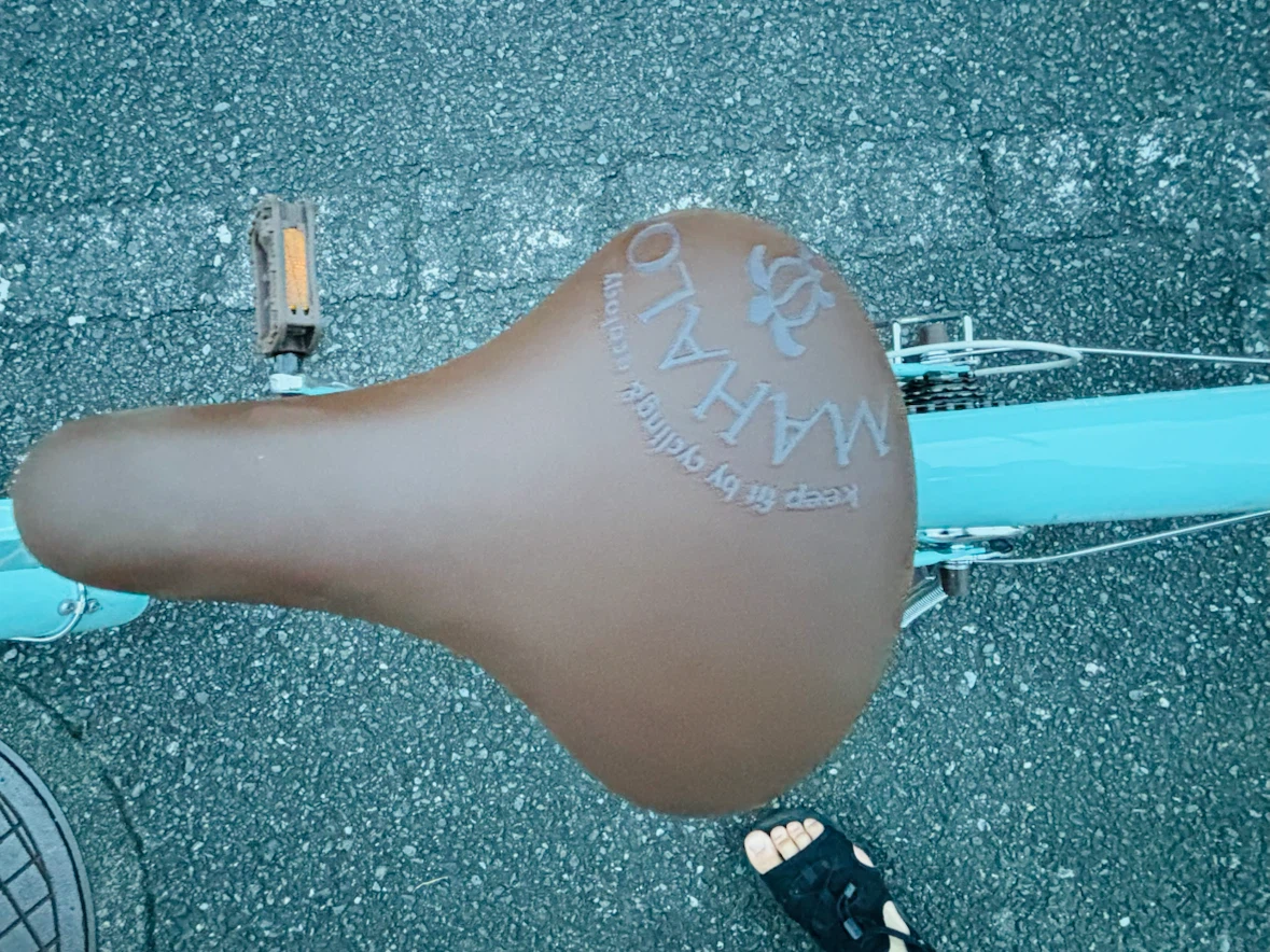 新品　マハロ 自転車 ライトブルー 20インチの写真2枚目