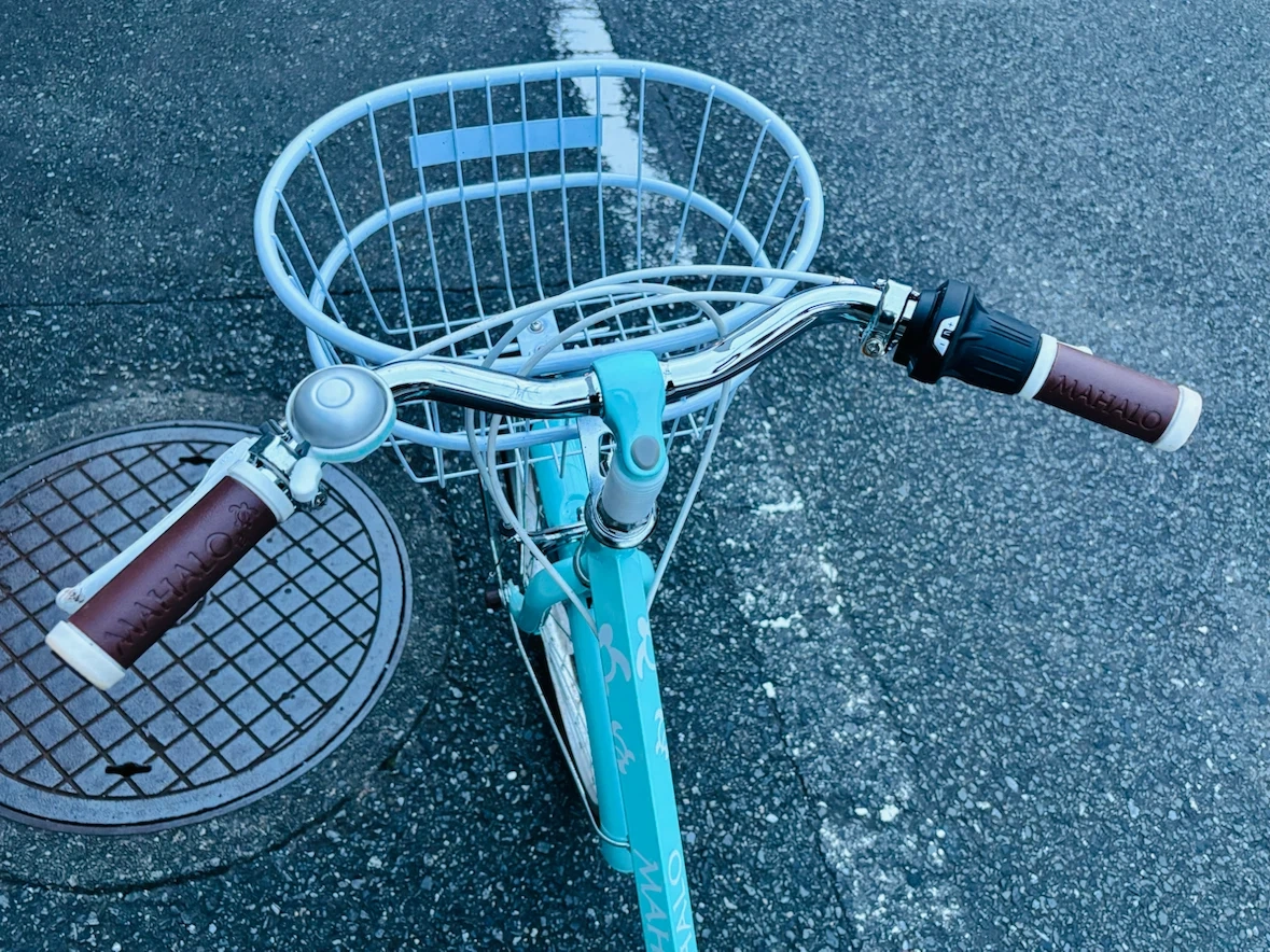 新品 マハロ 自転車 ライトブルー 20インチの写真3枚目