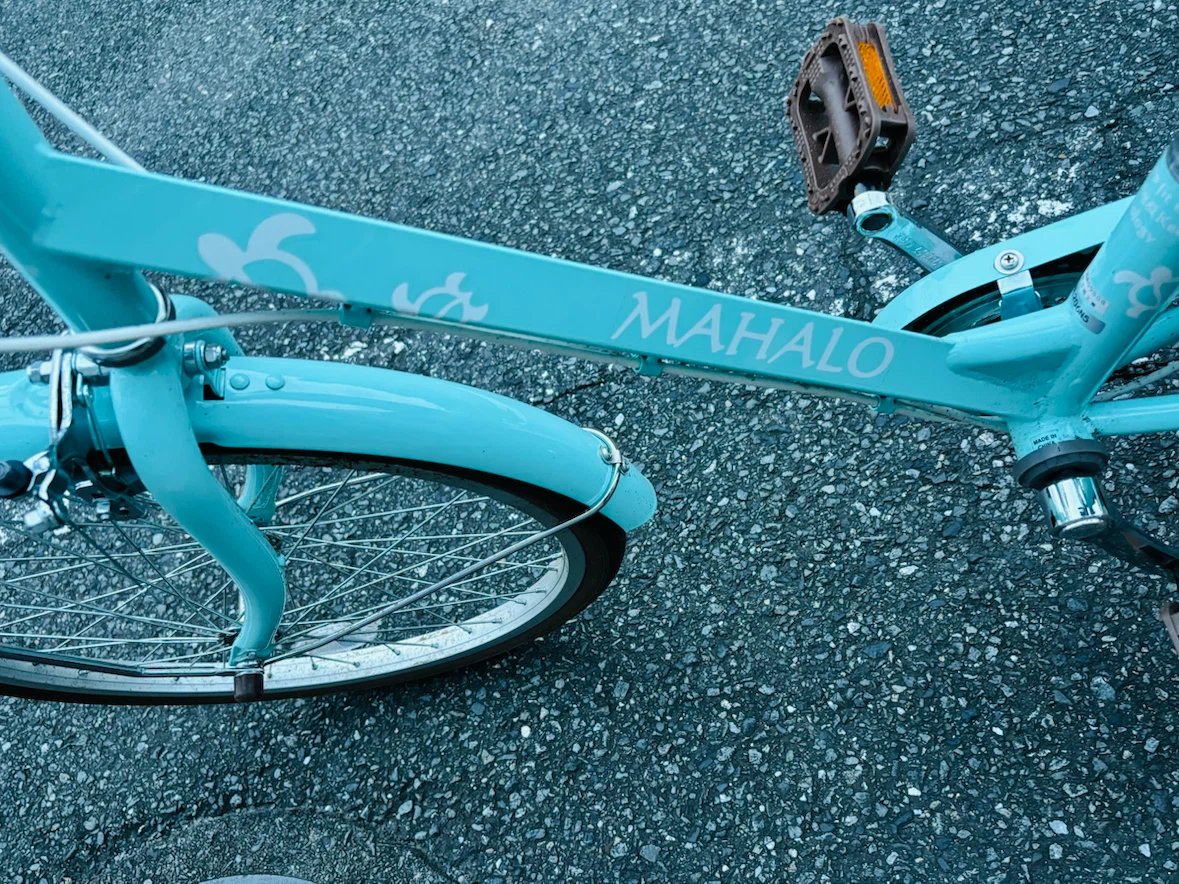 新品　マハロ 自転車 ライトブルー 20インチの写真5枚目